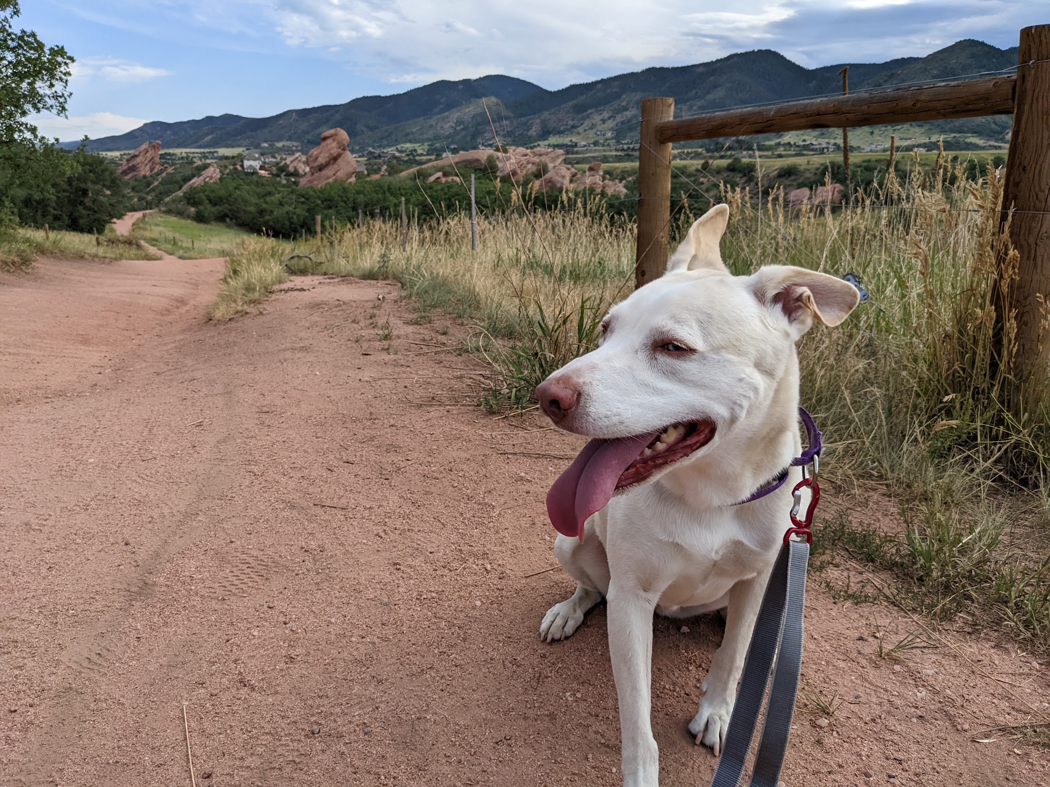 Trip Report: 2022-07 South Valley Park, CO