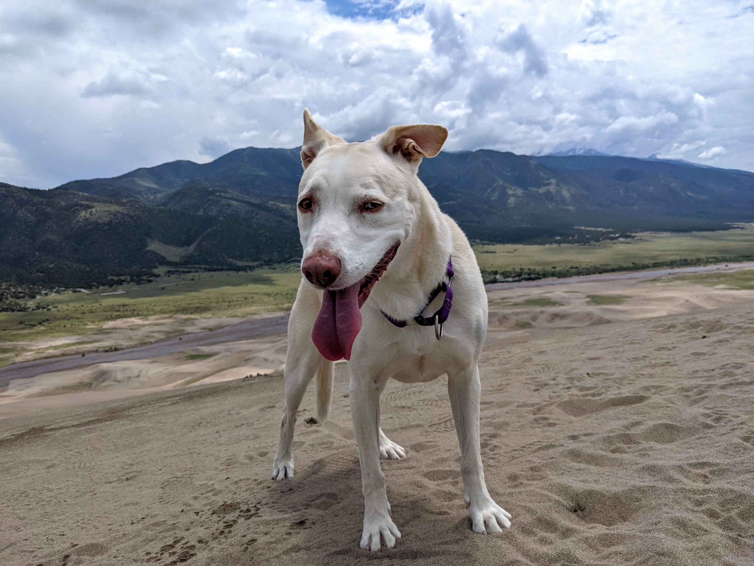 Trip Report: 2022-07 Great Sand Dunes National Park and Preserve, CO