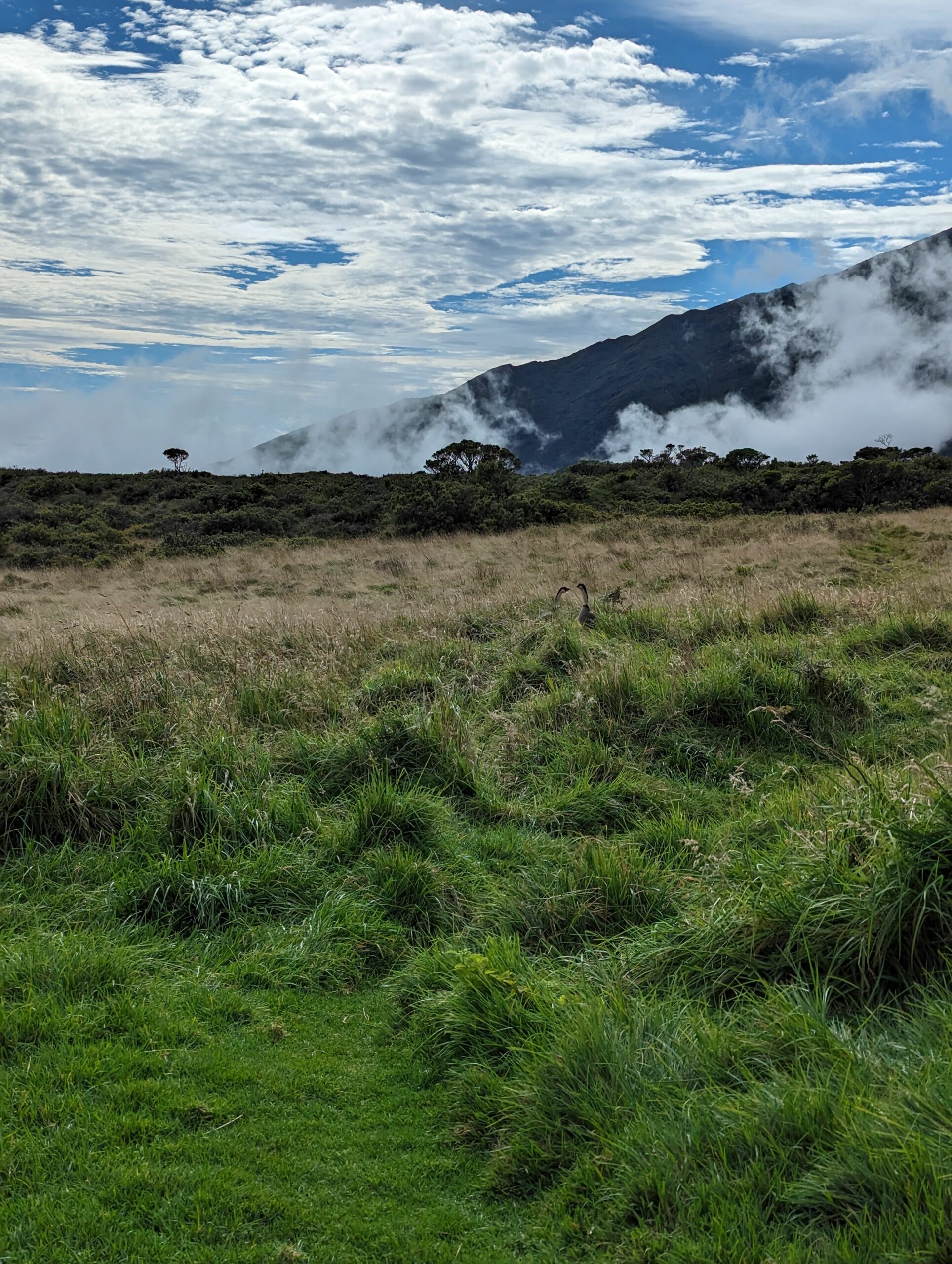 Trip Report: 2023-12 Maui, HI